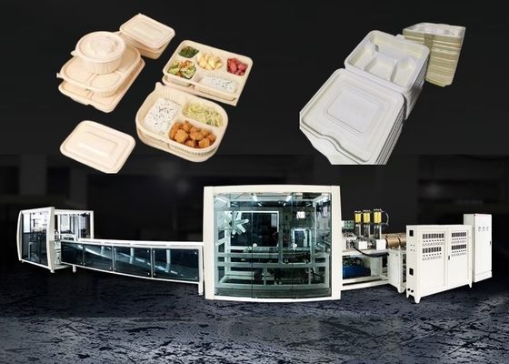 Semi Automatic Fast Food Box Machine Take Away Container 55kw