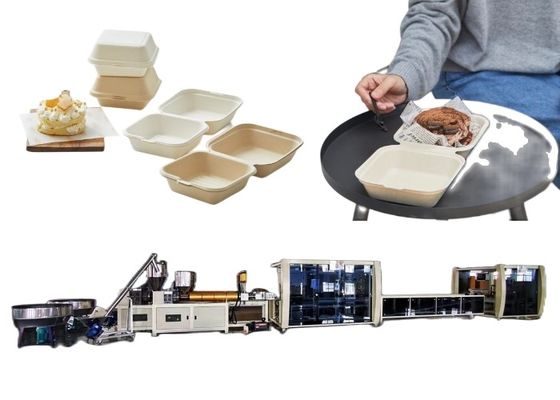 Blister Machinery Burger Box Line Disposable Biodegradable Food Container Machine