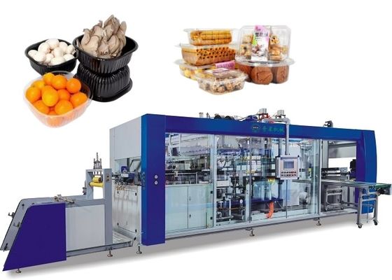 Four Station Blister Thermoforming Machinery Automatic