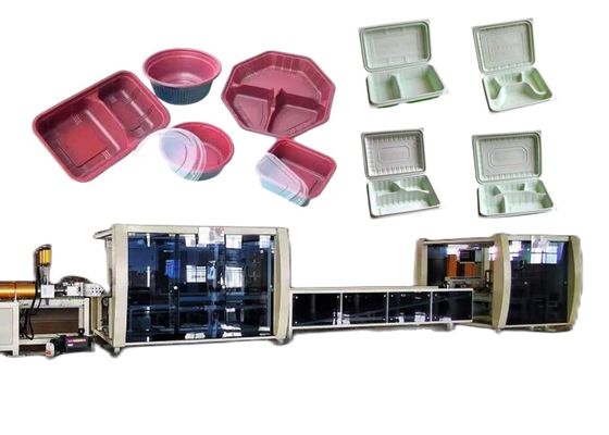 Blister Take Away Lunch Food Box Making Machine Plastic
